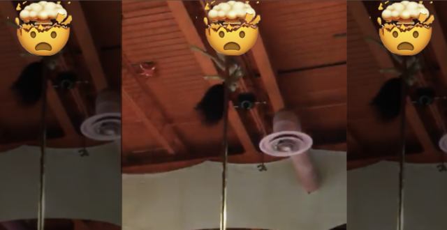 eQDzAgPUhxBB.jpg