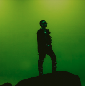 wizkid-true-love-video.png