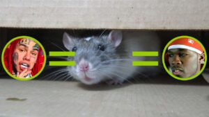 2022-04-19-rats.jpg