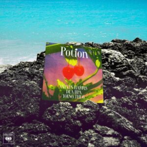 calvin-harris-dua-lipa-young-thug-potion-single.jpg
