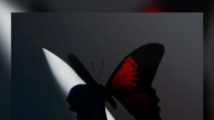 1654260758_eedce506ad4446d8f994622969c784b7.jpg