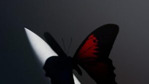 1654612486_4ef84f62d2ebc58c84334d30240d2b1c.jpeg