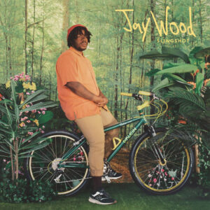 jaywood-slingshot.jpeg