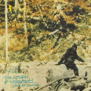 your-old-droog-madlib-the-return-of-sasquatch-single.jpeg