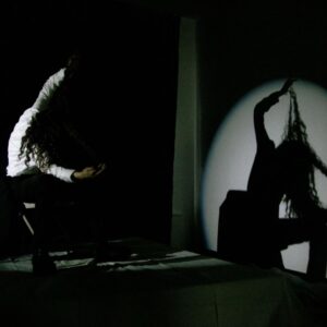 070-shake-shadow.jpeg