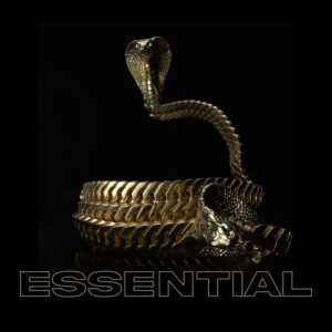 cormega-havoc-essential-single.jpeg