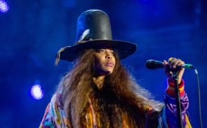 erykah-badu-bric-festival.png