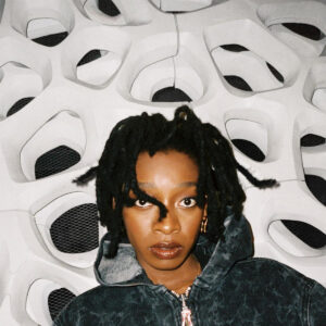 little-simz-no-thank-you-album.jpg