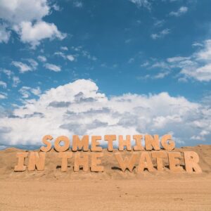 something-in-the-water-sand-logo.jpg