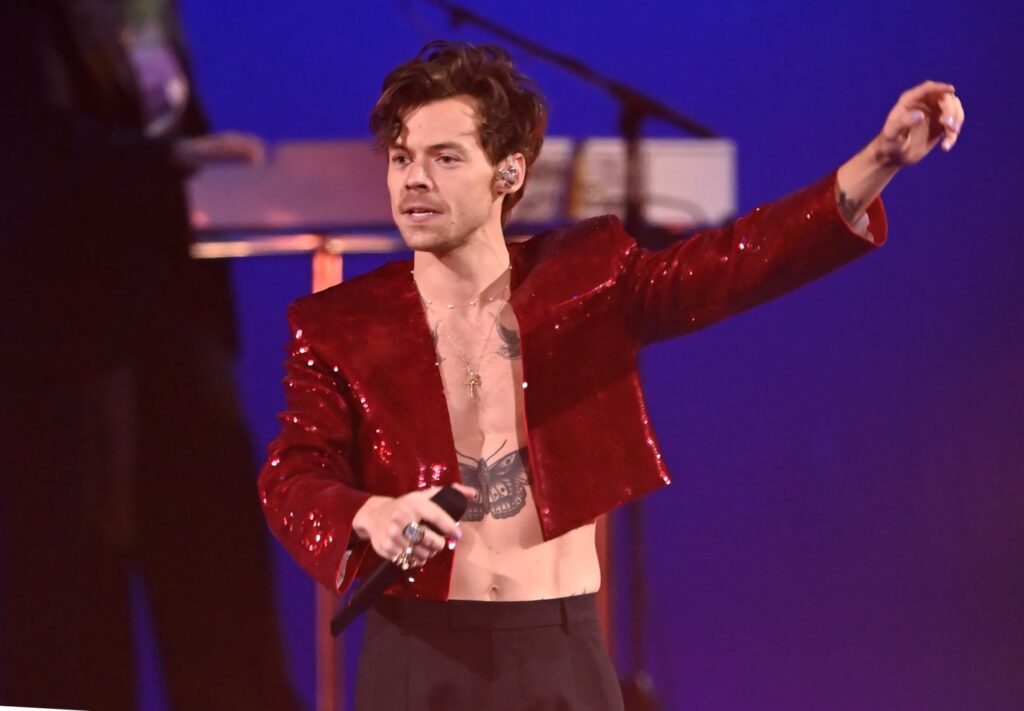 Harry-Styles-Fan-Faints.jpg