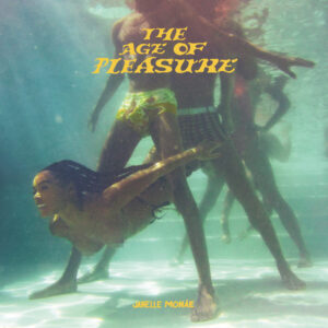 janelle-mona-e-the-age-of-pleasure-art_sq-1edc1a7bc4e748843c38553fa2cb90df68603595-1500x1500.jpg