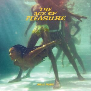 janelle-monae-age-of-pleasure-album.jpg