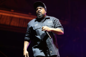 Ice-Cube-9-1500x1000.jpg
