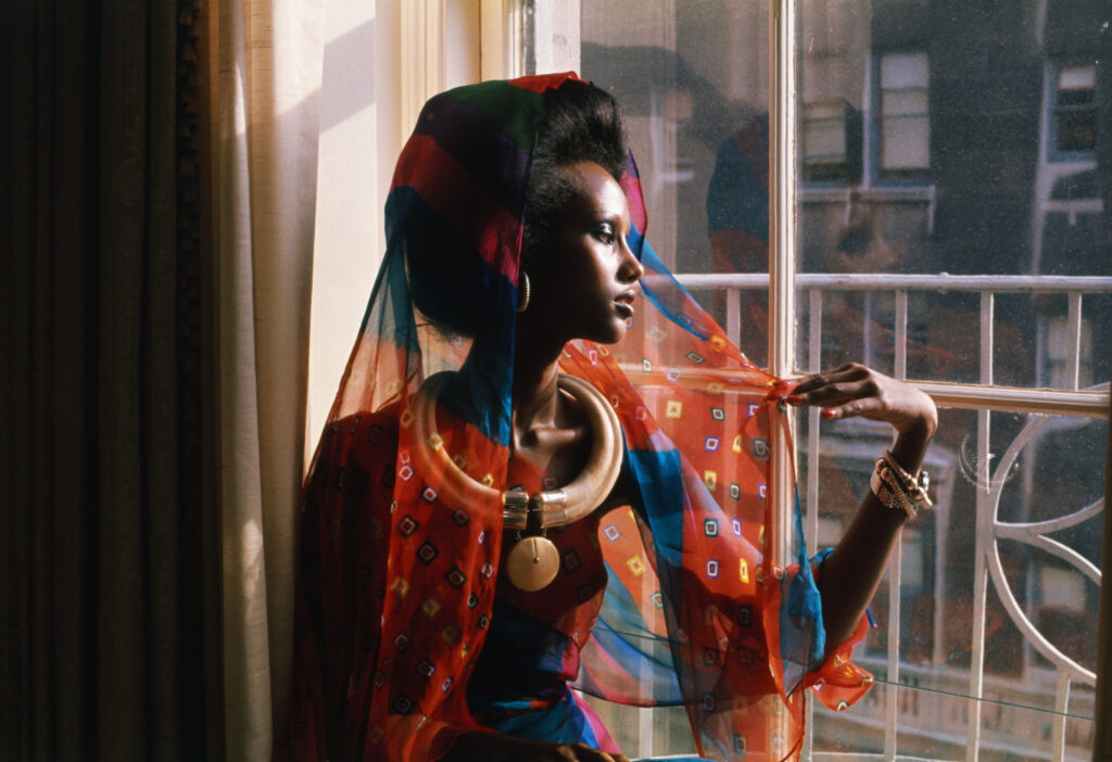 iman-1024x702.jpeg