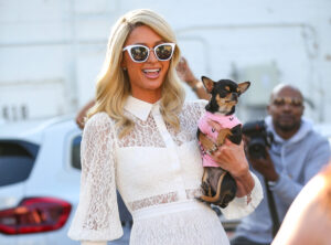 paris-hilton-1500x1110.jpeg