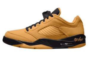 ipad_air-jordan-5-low-wmns-chutney.jpg