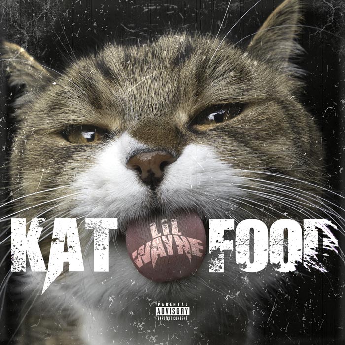 lil-wayne-kat-food.jpg