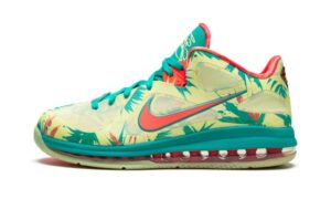 Nike-LeBron-9-Low-22LeBronald-Palmer22.jpeg
