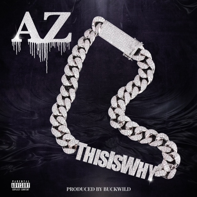 az-this-is-why-single.jpg