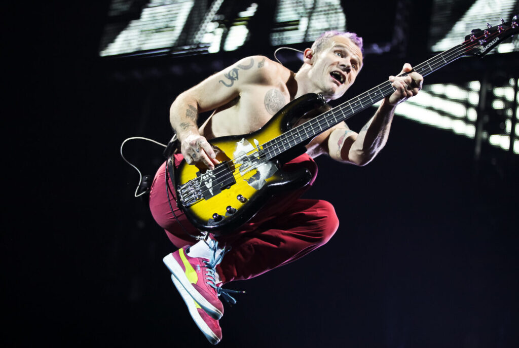 flea-2-1500x1006.jpeg