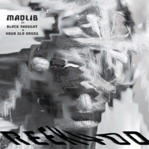 madlib-black-thought-your-old-droog-reekyod-single.jpg
