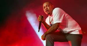bow-wow-2378x1575.jpg