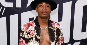 Plies.jpg