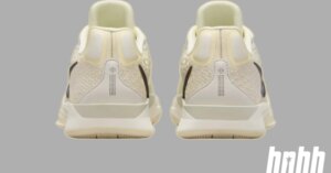 SneakerHeader.001-51.jpeg