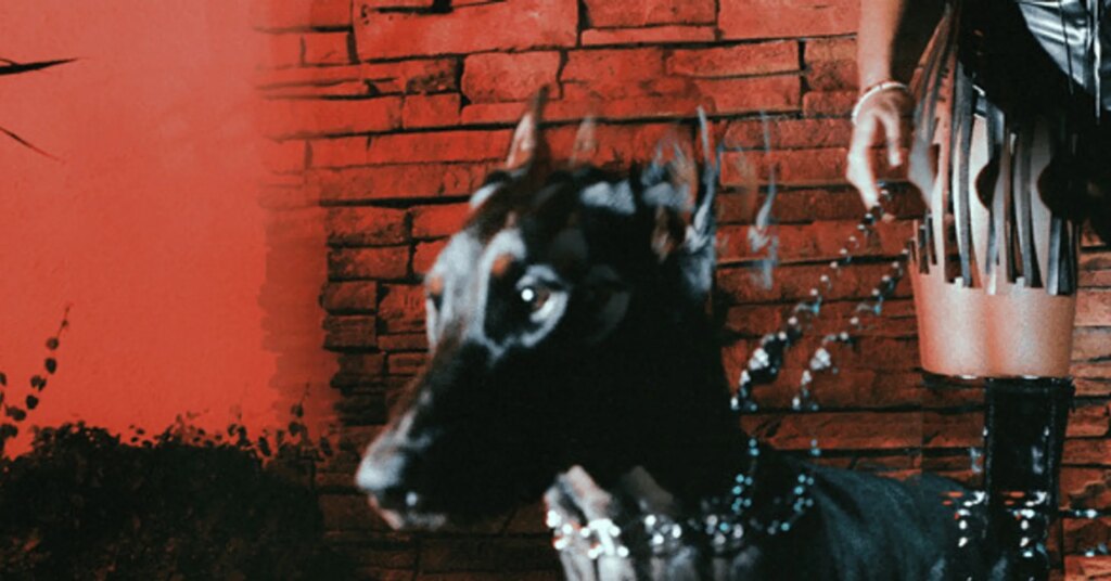 leon-thomas-mutt.jpg