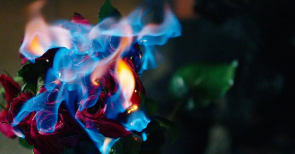 boldy-james-dead-flowers.jpg