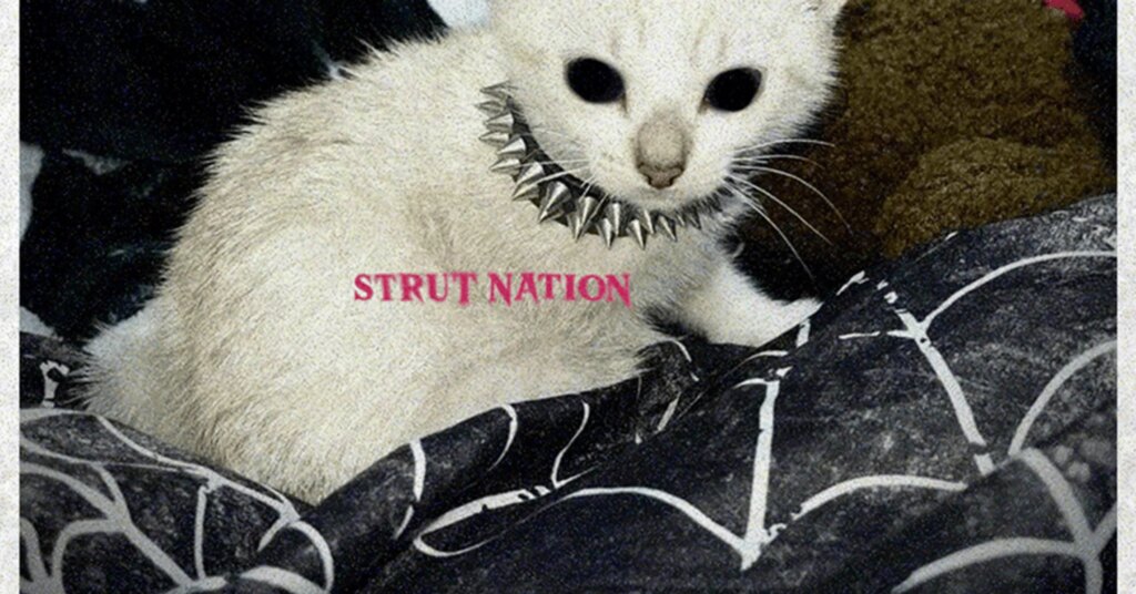 tisakorean-strut-nation.jpg