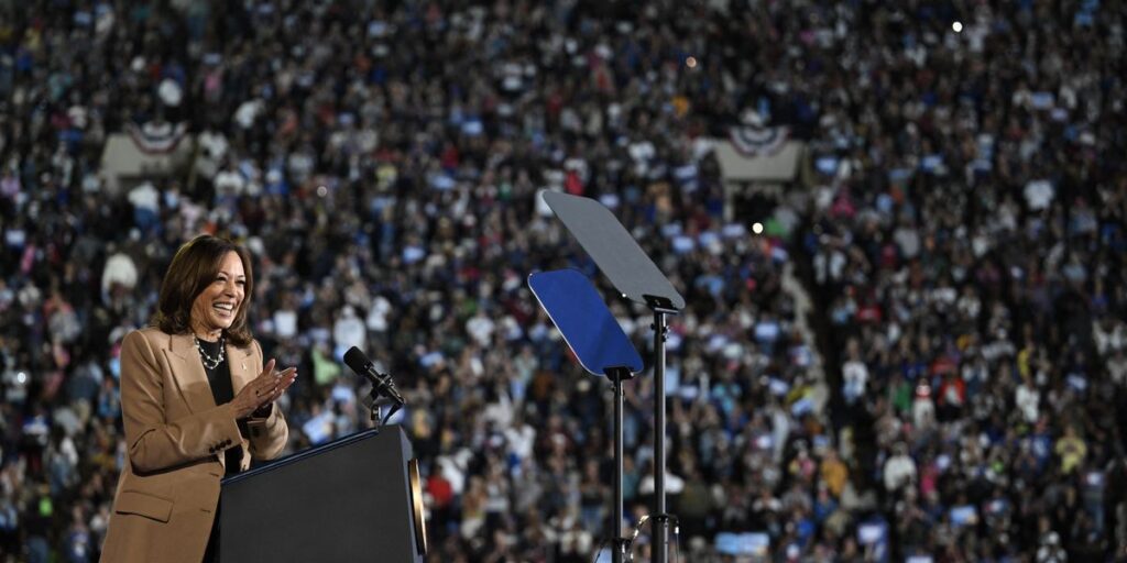 us-vice-president-and-democratic-presidential-nominee-kamala-harris-speaks-during-a-campaign-rally-at-the-james-r-hallford-stadi.jpg