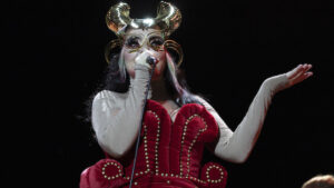 Bjork-1.jpg