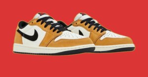 SneakerHeader.001-1.jpeg