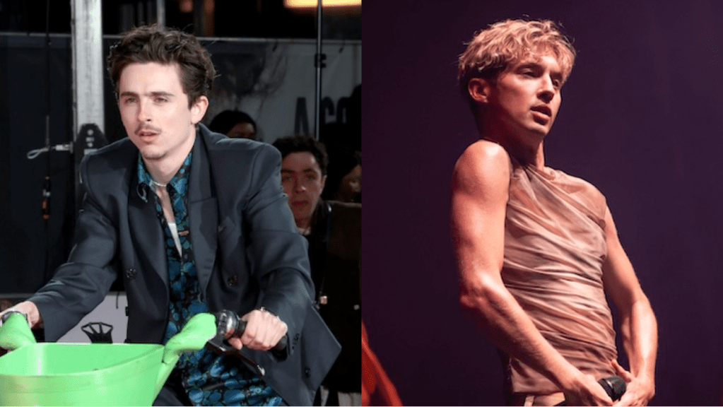 timothee-chalamet-troye-sivan.png
