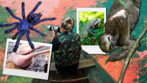 JK-Amazon-Rainforest-710x400-.jpg