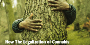 a-man-hugging-a-tree-only-his-hands-can-be-seen-wrapped-around-the-tree.png