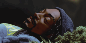 snoop-dogg-drops-last-dance-with-mary-jane.png