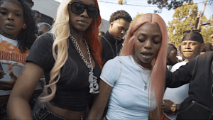 pluto-sexyy-red-whim-whammiee-remix-video.png