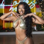 Is Megan Thee Stallion Dating The NBA’s Klay Thompson?